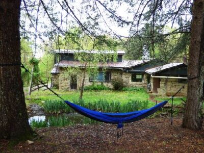 The Stay-at-Home Advantages of Freelance Writing as a Homesteader Image